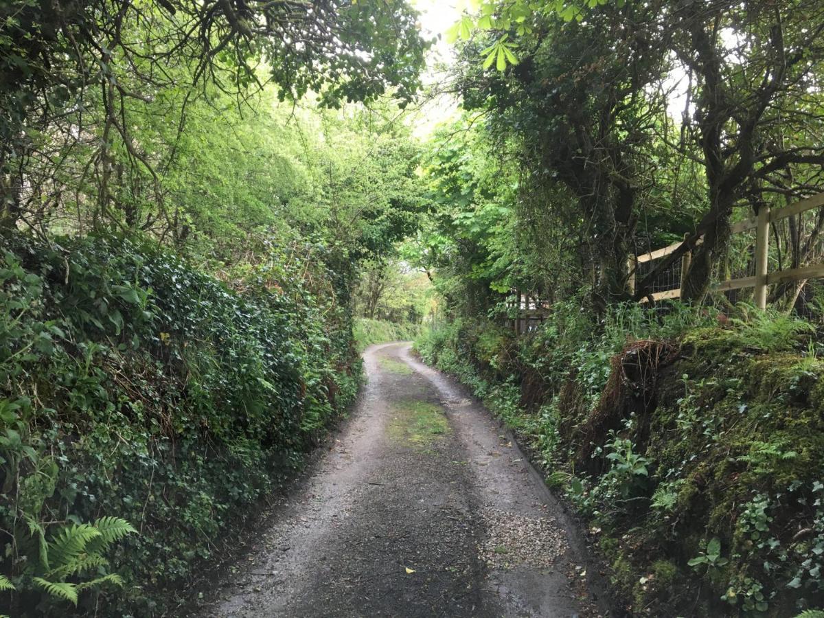 Higher Trenear Farm B&B Helston Luaran gambar